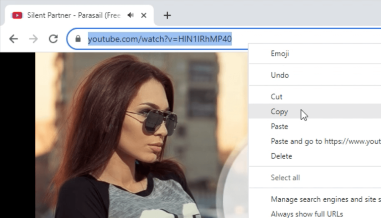 Copiază și Lipește URL-ul Videoclipului în Utubster
